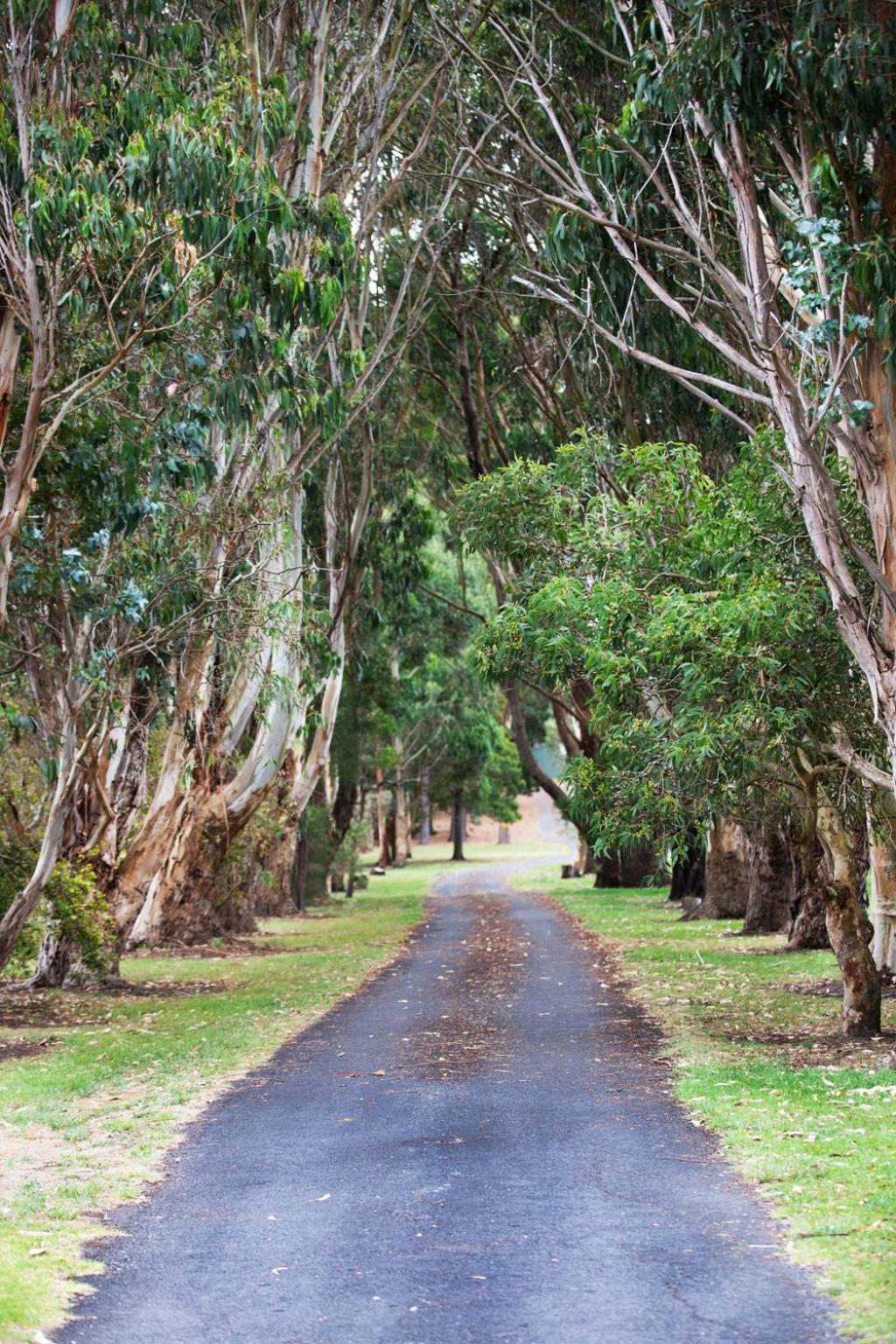 Clarendon Chalets Mount Gambier Zewnętrze zdjęcie